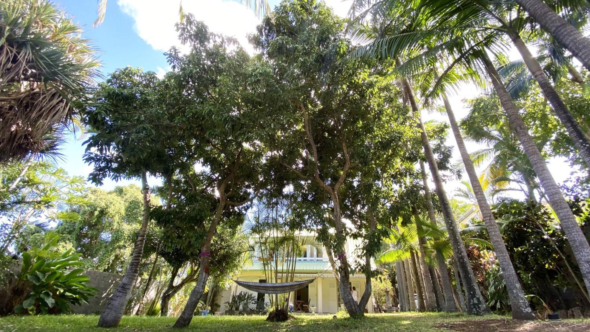 Coliver - Coliving A La Reunion Saint-Pierre Kültér fotó