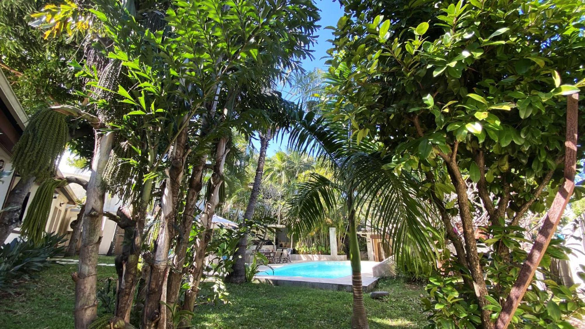 Coliver - Coliving A La Reunion Saint-Pierre Kültér fotó