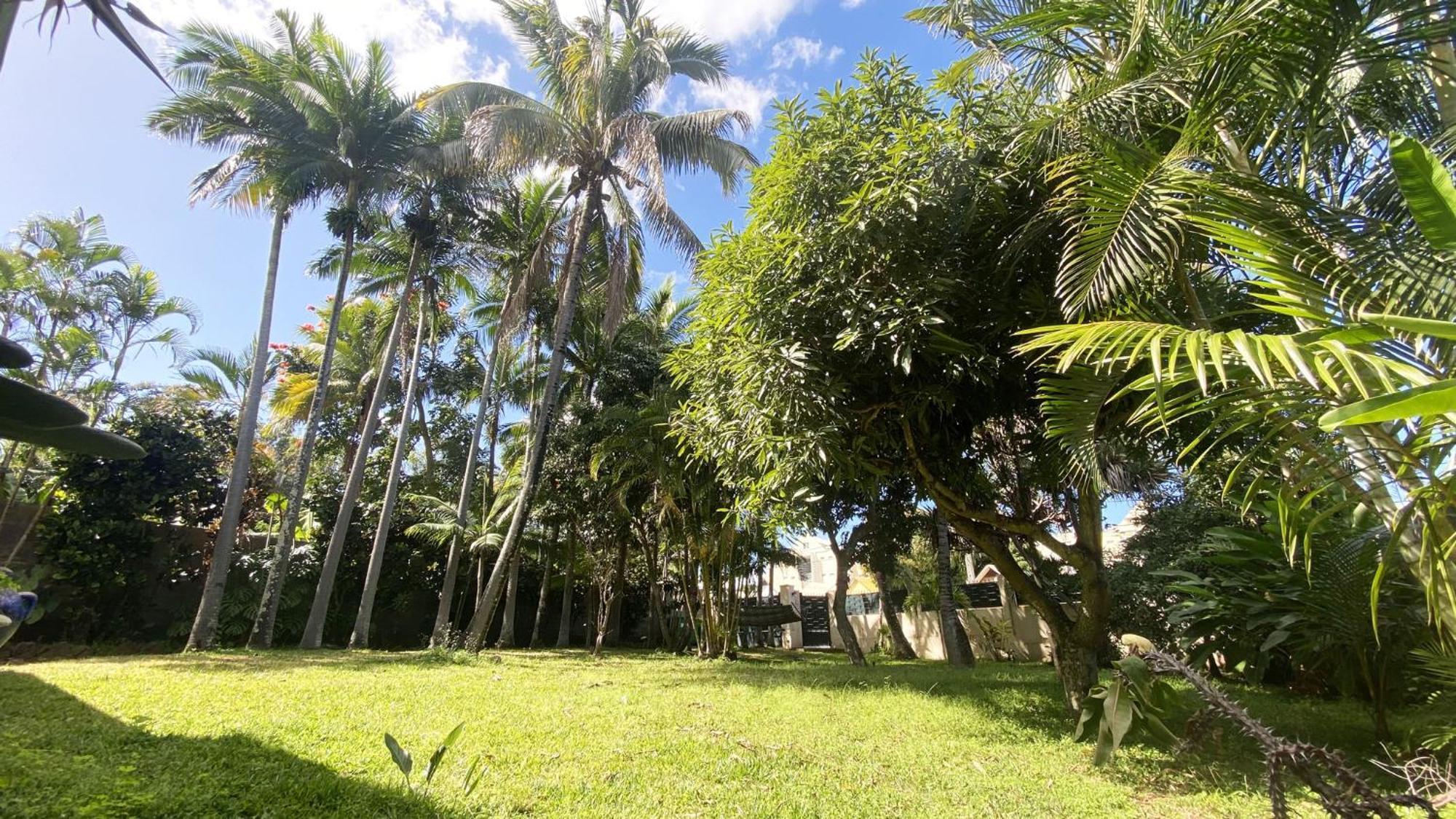 Coliver - Coliving A La Reunion Saint-Pierre Kültér fotó