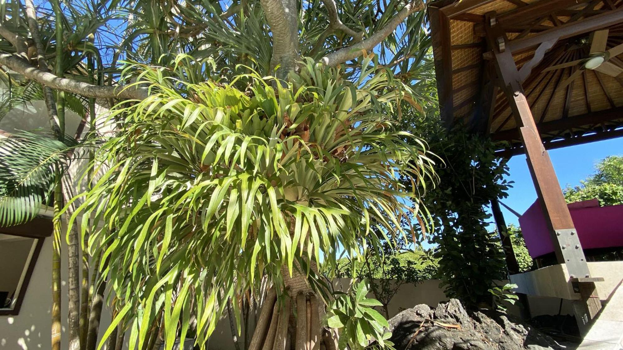 Coliver - Coliving A La Reunion Saint-Pierre Kültér fotó