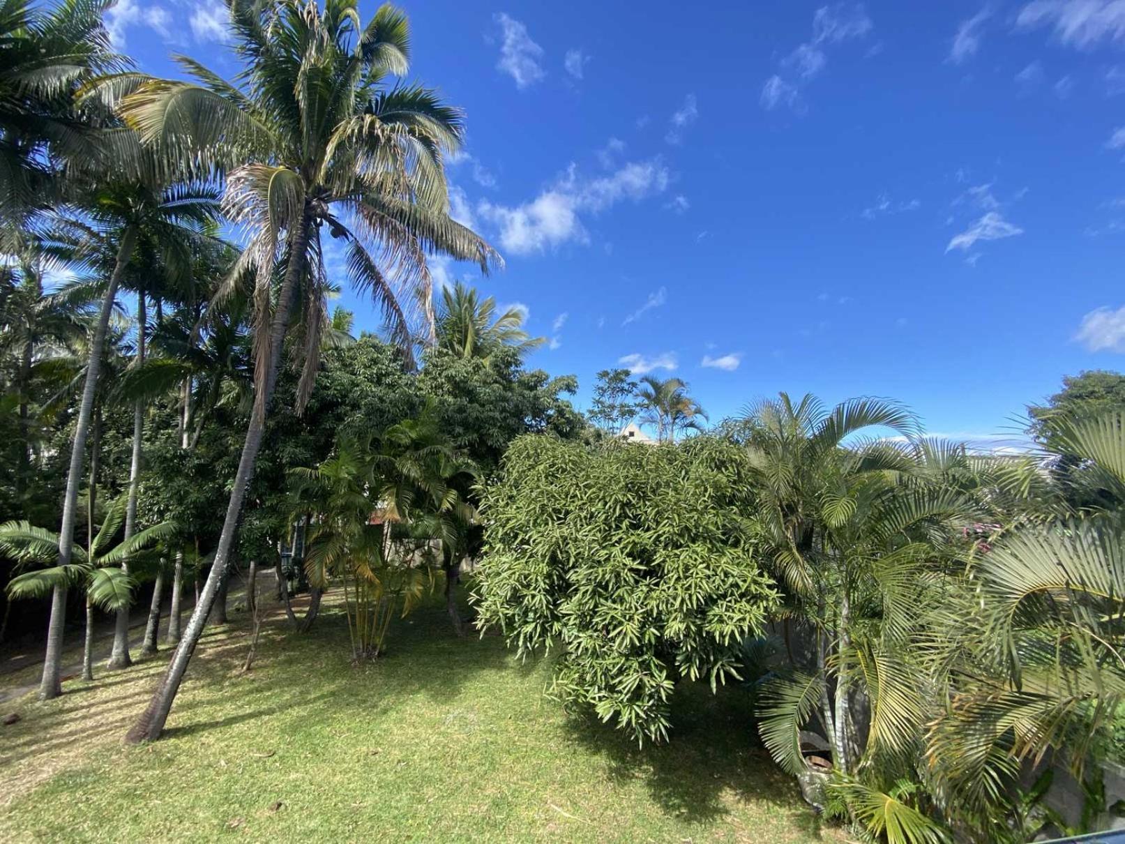 Coliver - Coliving A La Reunion Saint-Pierre Kültér fotó