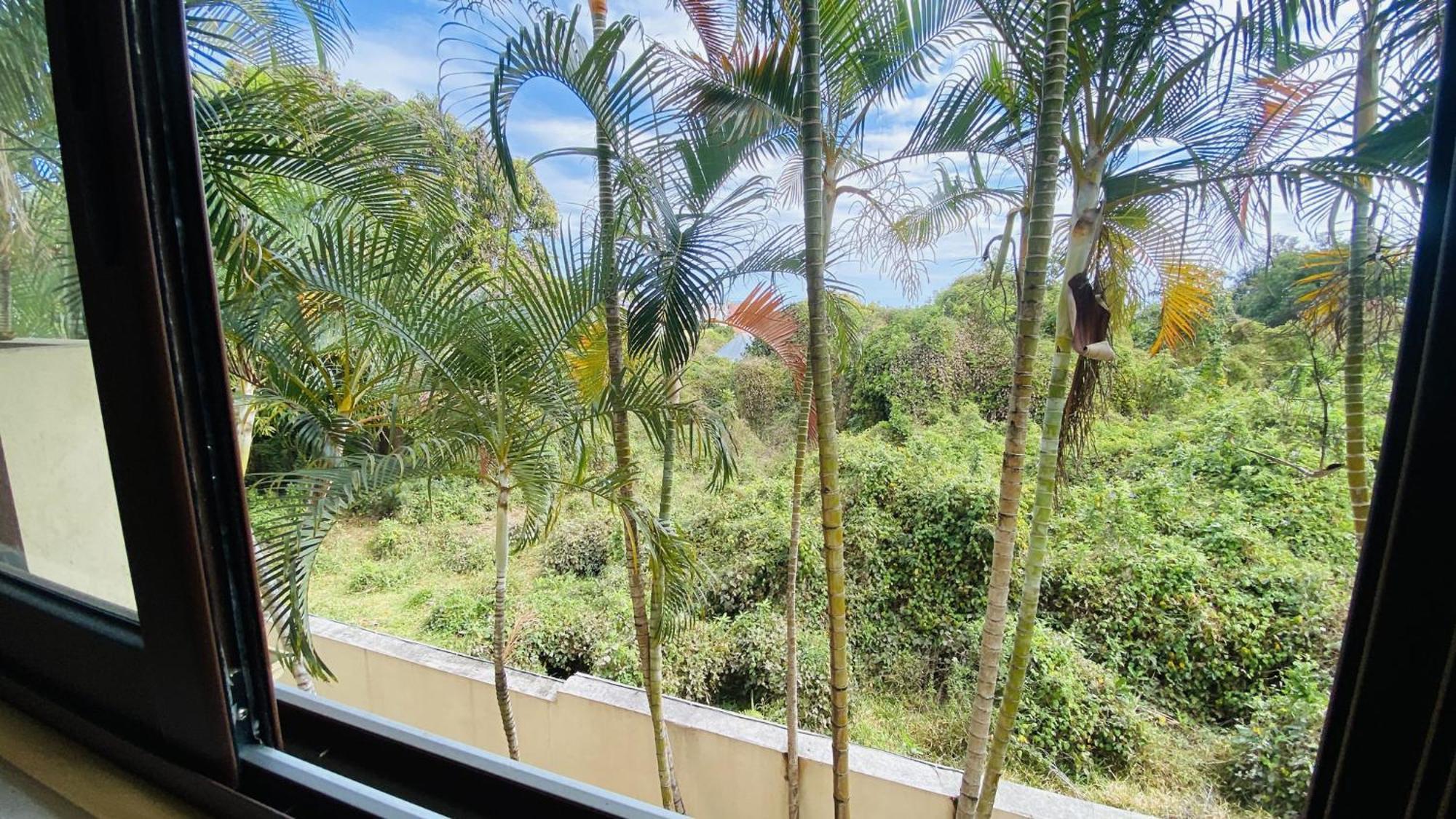 Coliver - Coliving A La Reunion Saint-Pierre Kültér fotó